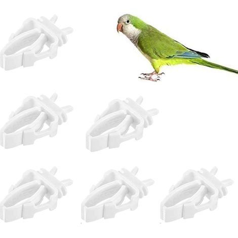 Clips de fixation pour cage à oiseaux, mangeoire à fruits et légumes blanche pour perroquets, perruches, calopsittes, aras, inséparables et hamsters (1/5)