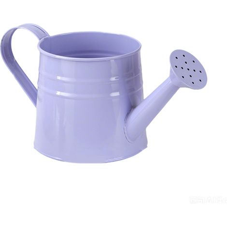 Regadera vintage de 1 litro: acero galvanizado resistente a la corrosión, diseño ligero de chapa de acero para plantas de interior y exterior, para niños y adultos, para el hogar y el jardín (morado). (1/5)