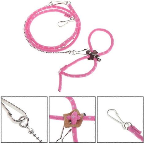 Laisse extensible réglable pour chien avec corde de traction automatique pour la promenade (1/4)