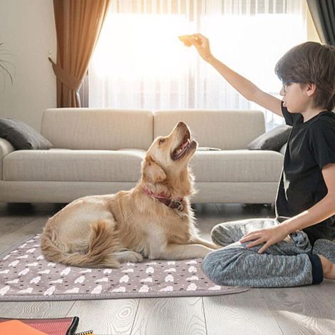 Beheizbares Katzenkissen, wasserdichte elektrische Heizdecke für Katzen, Heizmatte für Hunde und Katzen, beißfeste Heizmatte für Welpen mit digitalem Timer (1/4)