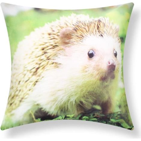 Housses de Coussin - AVIZAR - Lot de 2 - 40x40 cm - Motif Hérisson - Multicolore (1/5)