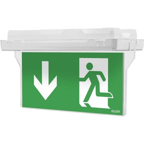 Plexiglas für doppelseitige EXIT-Bindung