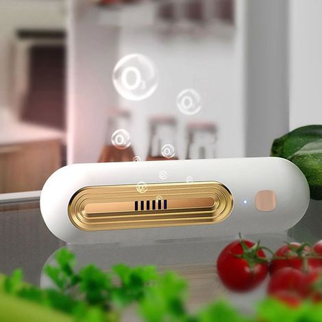 Kleiner, tragbarer Luftreiniger – USB-Luftreiniger für den Kühlschrank – Tragbarer Luftreiniger für Zuhause – Gold (1/5)