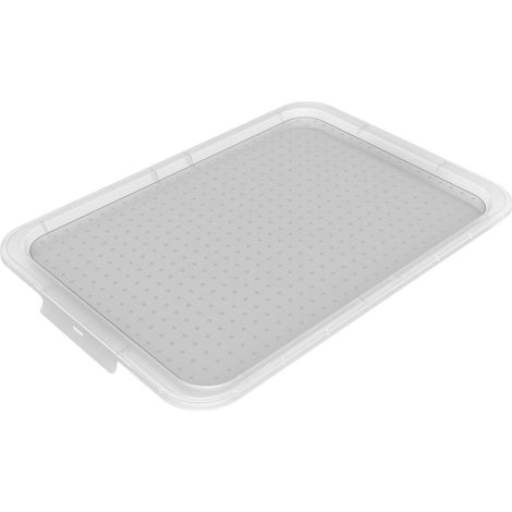 Rotho Stülpdeckel zu Box Albris 45 L transparent 56 x 40 x 3 cm (LxBxH) Stülpdeckel