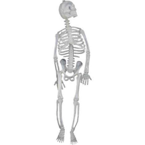 Squelette d'halloween Lumineux, Décoration Multifonctionnelle de Squelette d'halloween pour Le Carnaval (Squelette Lumineux tridimensionnel de 20 cm de) (1/5)