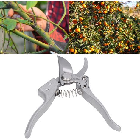 Ciseaux de Jardin Professionnels pour Élagage et Taille, Outils de Jardinage Faciles à Utiliser - KZQ (1/2)