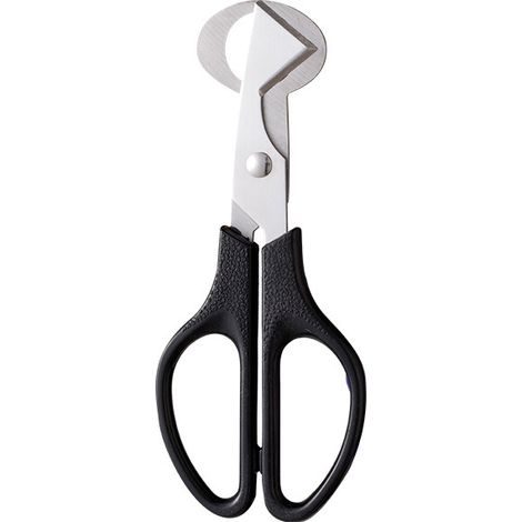 Coupe-œufs de caille, ciseaux en acier inoxydable pour ouvrir les œufs, adaptés à une utilisation domestique ou professionnelle. (1/5)
