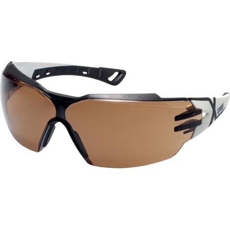 Occhiali di protezione Uvex Pheos cx2 CBR 23 9198223