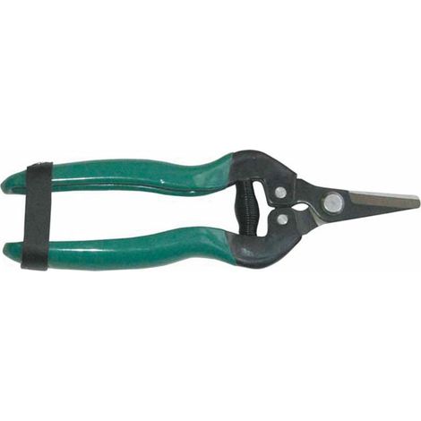 FORBICE RACCOLTA LAMA DITTA - 17 CM