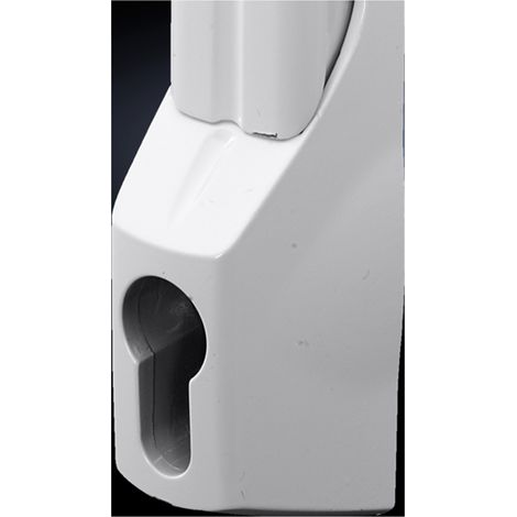 Rittal DK 7705.120 Komfortgriff für Profilhalbzylinder Lichtgrau (RAL 7035) 1 St.