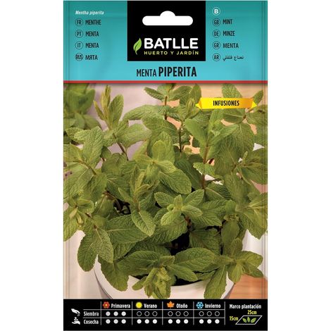 Graines aromatiques de Batlle - Menthe poivrée (0,2g) (1/5)