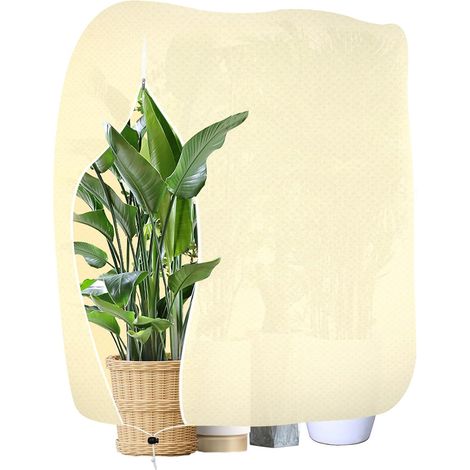 Voile Hivernage 120x180cm Beige, Housse de Protection Hivernale Réutilisable pour Plantes en Pot, Indéchirable et Respirante, Protection Geli v pour Arbustes d'Extérieur (Beige) (1/5)