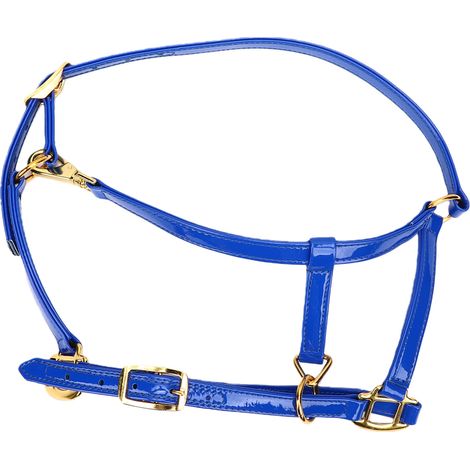 Bride de cheval en cuir, 20mm, Double couche, licou, nettoyage facile, étanche, bleu (1/5)