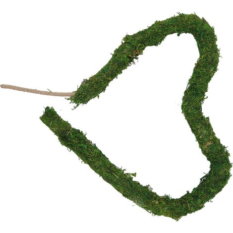 Tuteur en mousse naturelle flexible pour plantes grimpantes en pot, outil de jardinage idéal pour les plantes en pot (1/5)