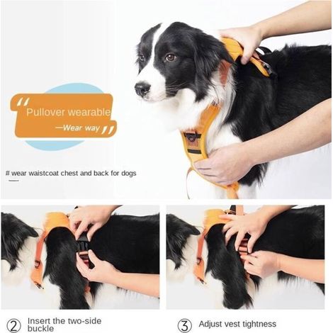 Vtizikl Harnais pour chiens de taille moyenne avec corde de remorquage rétractable automatique (Noir, M) (1/5)