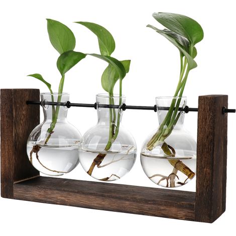 Vase hydroponique, Terrarium décoratif Simple en verre pour plantes à fleurs avec support en bois (1/5)