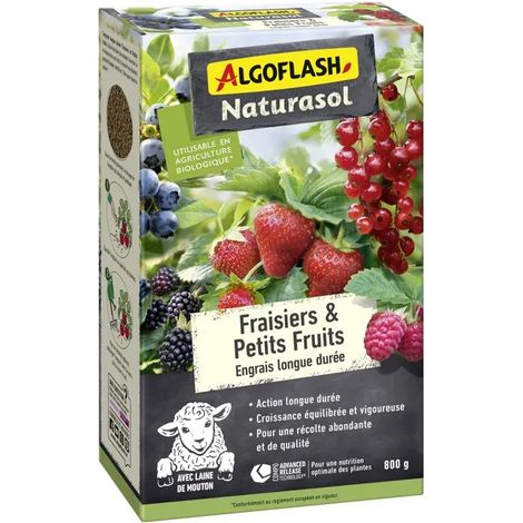 Fertilizzante per fragole e piccoli frutti - ALGOFLASH NATURASOL - Lunga durata - 800 g - UAB