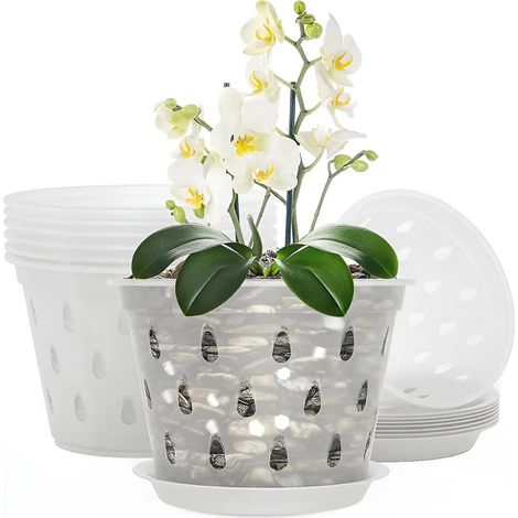 pots de pépinière avec dôme d'humidité (1/5)