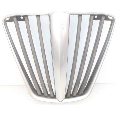 GRILLE RADIATEUR PIAGGIO MP3 LT 400 2007 - 2012 (1/5)