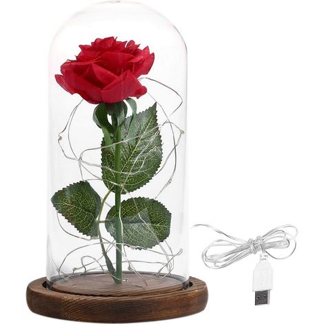 Luminaire Décoratif - Rose Artificielle en Soie - Abat-jour en Verre - Socle en Bois Naturel - 20 LED - Alimentation USB - 1 Pièce (1/5)