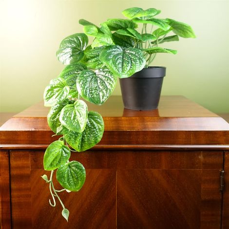 35cm Artificial Trailing Natural Look Potted Pothos Plant Realistic (1/5)