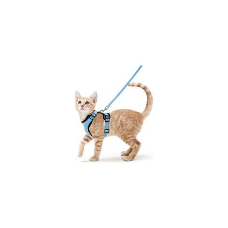 Harnais avec laisse pour chats, Harnais et laisse pour chats, Harnais réglable pour chatons, Collier harnais pour chats, Gilet respirant, Pour chat européen, chat persan (bleu ciel, S)