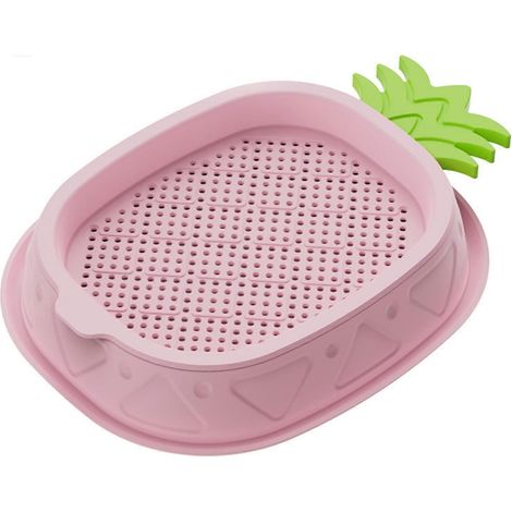 Hydroponic Chat Grass Kit - Soil Free avec 5 Seed Packs - pour Intérieur Chats Hairball Control (1/5)
