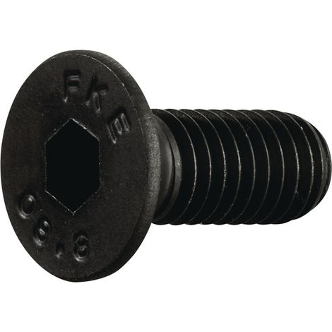 TECWERK Spannschraube SW 4mm M6 f.TCMT 16/SCMT 12 Gewinde-L.16mm z.Kassette TECWERK