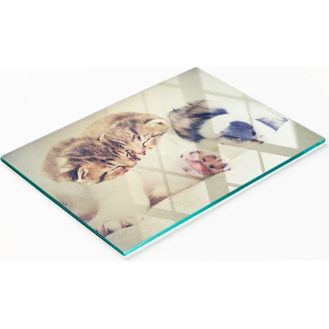 Tabla decorativa de cristal para servir aperitivos con dise帽o de gatos y perros, 80x52 cm.