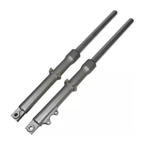 Motorcycle front suspension (silver disc brake version) FT150 (1/3)