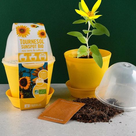 Pot en cloche - Tournesol bio (1/5)