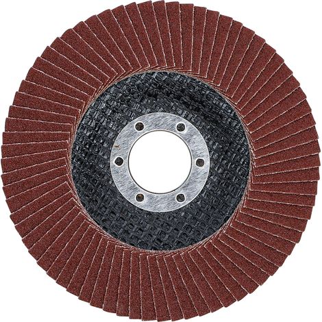 BGS Fächer-Schleif-Scheibe Ø 115 mm K 120 - 3972 (1/3)