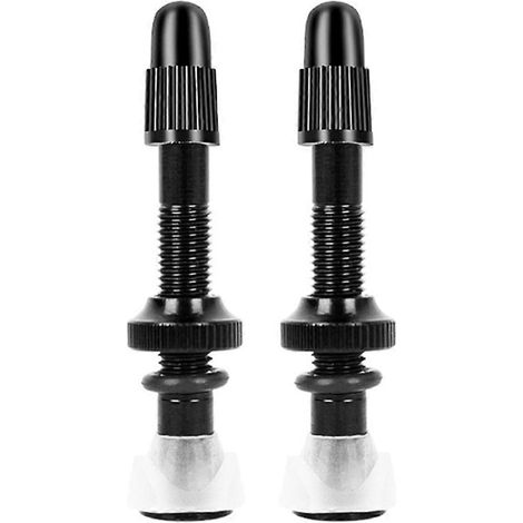 valves de vélo 40 mm pour conversion de pneus tubeless VTT/vélo de route -- (1/5)