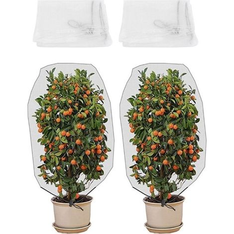 2 Filets Barrière Anti-Insectes pour Fruits, Plantes et Arbres – Protection pour Serre et Jardin,de DEBUNS (1/5)