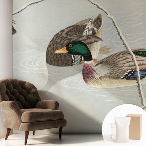 Tapete Vliestapete mit Kleber - Wanddekoration - Wandfolie - 3D Tapete Wand - Wohnungsdeko Ruhige Enten 250x250 cm (1/5)