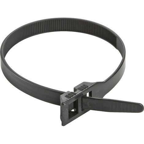 PB Fastener 6503 6503 Kabelbinder 375 mm 9 mm Schwarz  1 St.