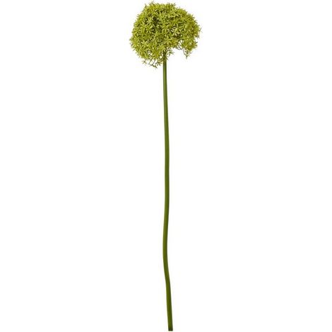 Giant Allium (Single Stem Flower) - Plastic - L21 x W21 x H90 cm - Green