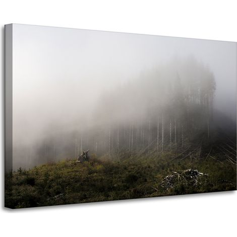 Lienzo impreso Naturaleza Niebla en el bosque 90x60 cm
