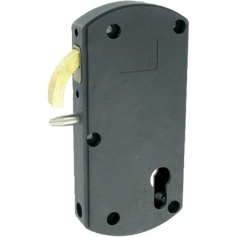 Serrure à mentonnet TIRARD Modulox GB592005 - Pour portail coulissant motorisé, boîtier polyamide noir mat (1/2)