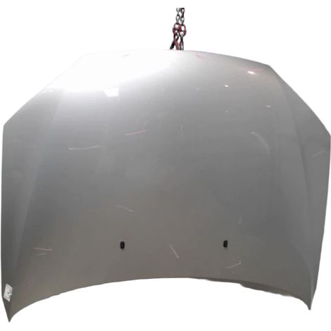 Capot FORD Mondeo 2000-2007 [PRODUIT D'OCCASION]♻️1445668 (1/4)