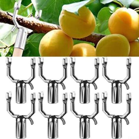 Lot de 8 supports de branche d'arbre fruitier - Support de branche de plante - Support de branche de plante - Outils de décoration - Supports pour piquets d'arbre fruité - Support de branches d'arbre (1/5)