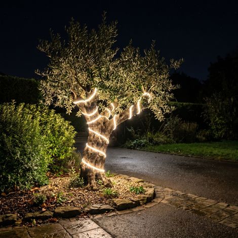 Eglo LED-Streifen Rolle Collepasso 25 m 275 W warmweiß Deckenlampen (1/3)