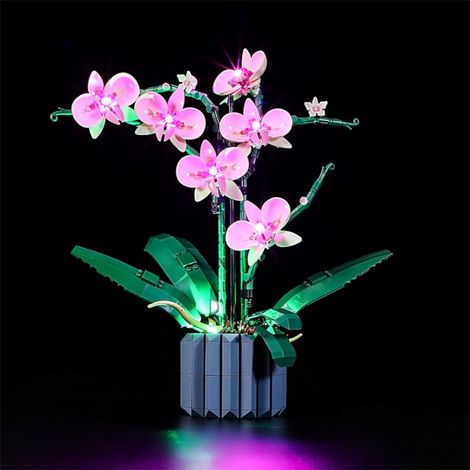 Kit d'Éclairage LED pour Orchidée Lego 10311 - Décoration Lumineuse pour Bureau et Salon (1/5)