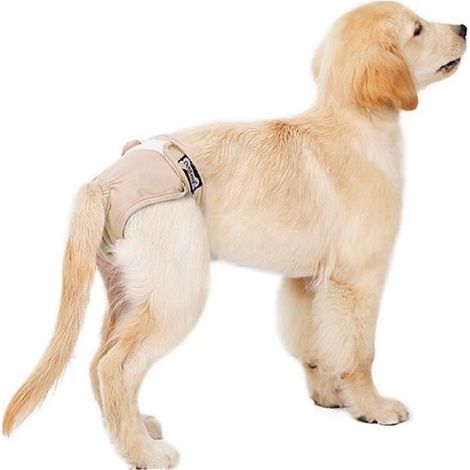 Culottes hygiéniques pour chien femelle - 3 pièces lavables réutilisables, protection incontinence L (1/4)