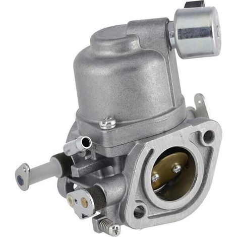 Carburatore BRIGGS ET STRATTON 597128 (1/3)
