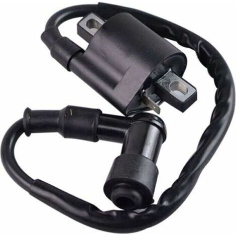 Bobine d’allumage noir Compatible avec Yamaha PW50 PY50 PEEWEE PY PW 50 Dirt Pit Bike Parts (1/2)