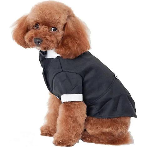 Ropa para perros, traje para mascotas, vestido de novia para mascotas (1/5)
