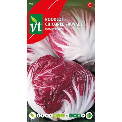 Chicorée Rossa Di Verona - Ca. 1 gr (Livraison Gratuite) (1/2)