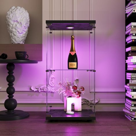 Vitrine à 2 niveaux,verre transparent moderne vitrine,facile à nettoyer vitrine en verre,robuste et durable casiers pour objets de collection avec lampe, Noir (1/5)