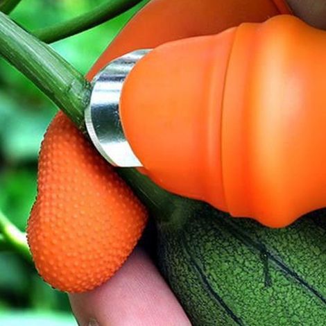 Outil pour éplucher, cueillir et trier les légumes : couteau à pouce pour cueillir les grains de poivre, les haricots secs et les graines. Version à lame courbe disponible en grande et petite taille. (1/5)